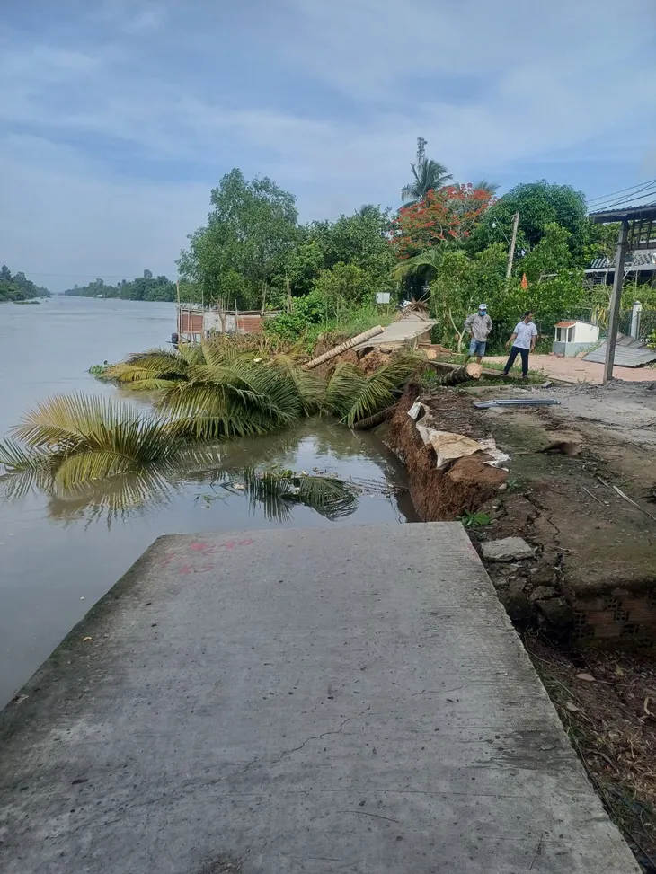 Sạt lở tiếp diễn tại Hậu Giang, Long An - Ảnh 2. Sạt lở tiếp diễn tại Hậu Giang, Long An - Ảnh 2.