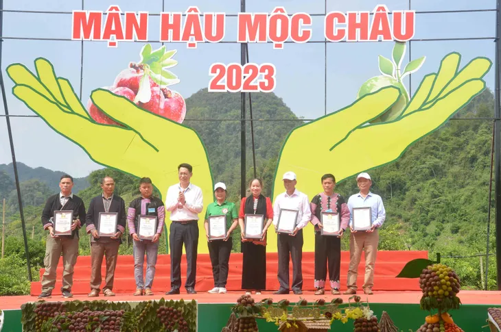 Sôi động ngày hội hái quả mận hậu 2023 - Ảnh 8. Sôi động ngày hội hái quả mận hậu 2023 - Ảnh 8.