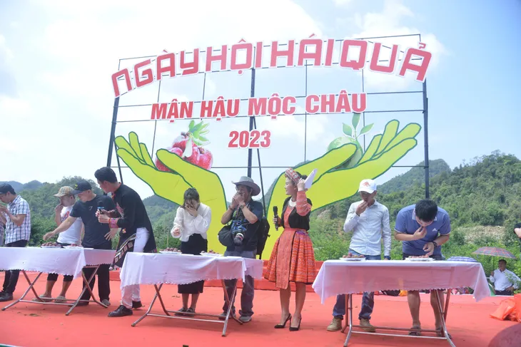 Sôi động ngày hội hái quả mận hậu 2023 - Ảnh 3. Sôi động ngày hội hái quả mận hậu 2023 - Ảnh 3.