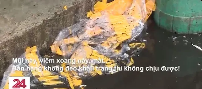 Bất cập xử lý ô nhiễm nước thải cảng cá - Ảnh 2. Bất cập xử lý ô nhiễm nước thải cảng cá - Ảnh 2.