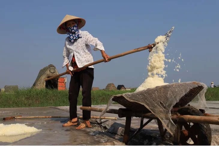 Mùa thu hoạch muối ở Nam Định - Ảnh 1. Mùa thu hoạch muối ở Nam Định - Ảnh 1.