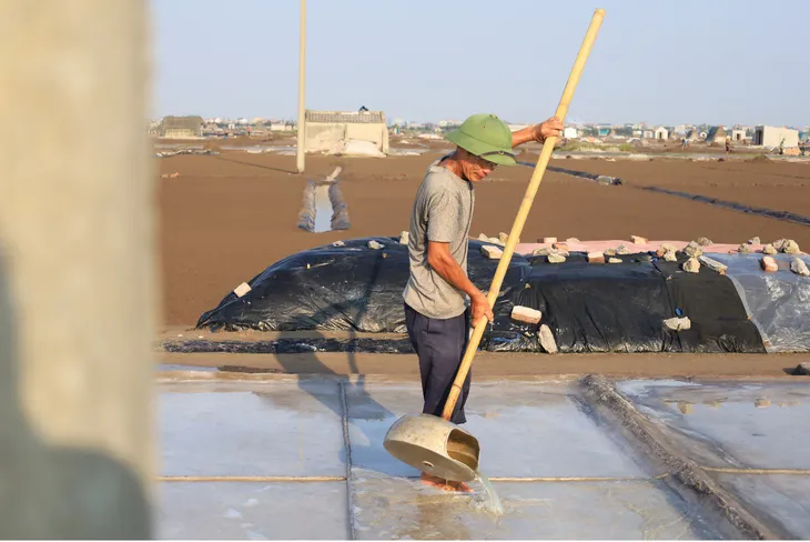 Mùa thu hoạch muối ở Nam Định - Ảnh 3. Mùa thu hoạch muối ở Nam Định - Ảnh 3.