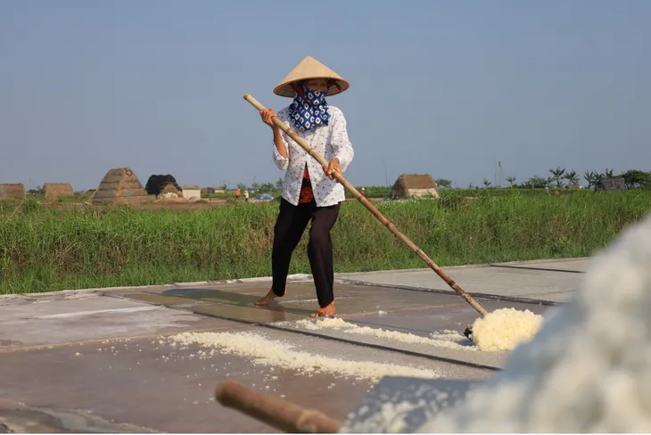 Mùa thu hoạch muối ở Nam Định - Ảnh 5. Mùa thu hoạch muối ở Nam Định - Ảnh 5.
