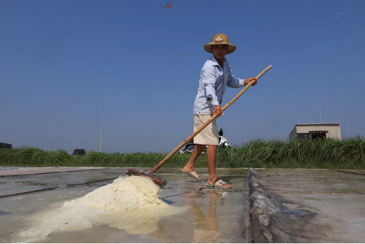 Mùa thu hoạch muối ở Nam Định - Ảnh 6. Mùa thu hoạch muối ở Nam Định - Ảnh 6.