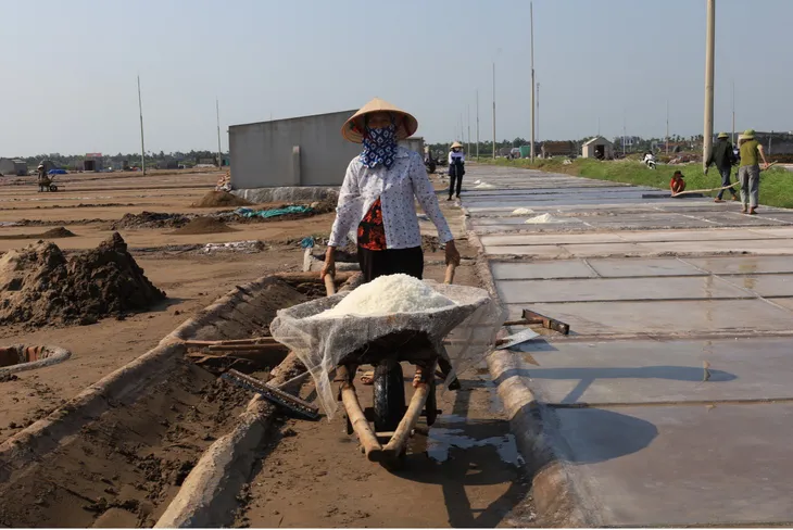 Mùa thu hoạch muối ở Nam Định - Ảnh 9. Mùa thu hoạch muối ở Nam Định - Ảnh 9.