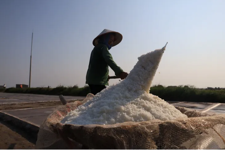 Mùa thu hoạch muối ở Nam Định - Ảnh 10. Mùa thu hoạch muối ở Nam Định - Ảnh 10.