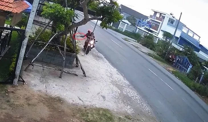 Bị trộm chó chỉ trong... 10 giây - Ảnh 1. Bị trộm chó chỉ trong... 10 giây - Ảnh 1.