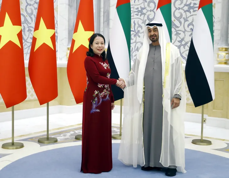 Phó Chủ tịch nước Võ Thị Ánh Xuân hội kiến Tổng thống UAE - Ảnh 1. Phó Chủ tịch nước Võ Thị Ánh Xuân hội kiến Tổng thống UAE - Ảnh 1.