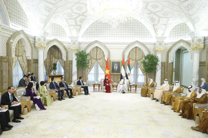 Phó Chủ tịch nước Võ Thị Ánh Xuân hội kiến Tổng thống UAE - Ảnh 2. Phó Chủ tịch nước Võ Thị Ánh Xuân hội kiến Tổng thống UAE - Ảnh 2.