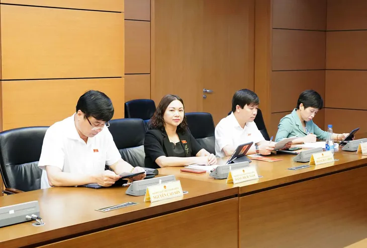 Cơ chế đặc thù để TP Hồ Chí Minh dẫn dắt phát triển - Ảnh 2. Cơ chế đặc thù để TP Hồ Chí Minh dẫn dắt phát triển - Ảnh 2.