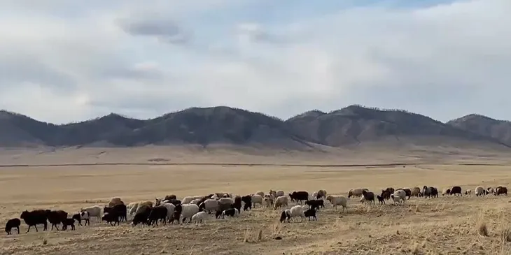 Cộng hòa Khakassia - vùng đất thiêng của Siberia - Ảnh 2.