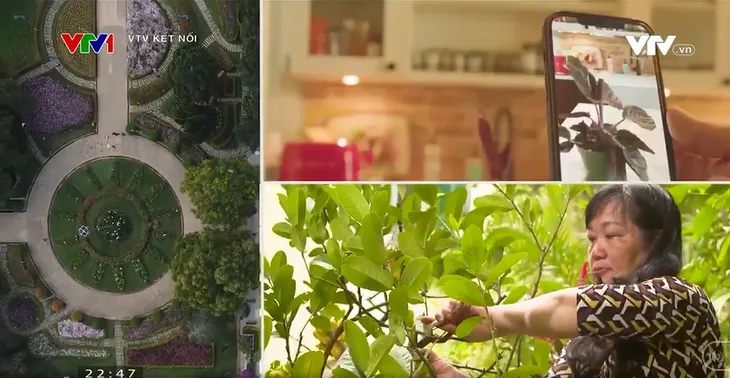 Lan tỏa tình yêu thiên nhiên cùng phim tài liệu Khu vườn bí mật - Ảnh 2.
