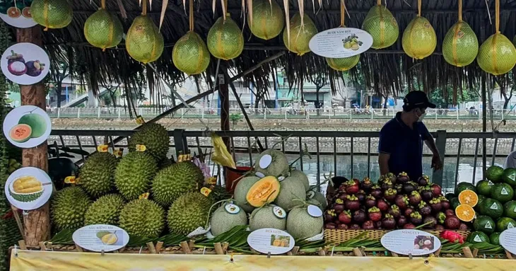 TP Hồ Chí Minh mở tuần lễ trái cây Trên bến dưới thuyền tại Bến Bình Đông - Ảnh 1. TP Hồ Chí Minh mở tuần lễ trái cây Trên bến dưới thuyền tại Bến Bình Đông - Ảnh 1.