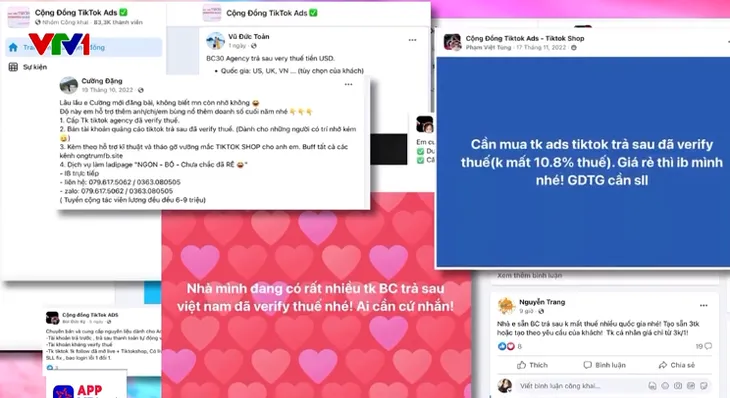 Công khai dịch vụ cho thuê tài khoản quảng cáo “miễn thuế” trên TikTok - Ảnh 2. Công khai dịch vụ cho thuê tài khoản quảng cáo “miễn thuế” trên TikTok - Ảnh 2.