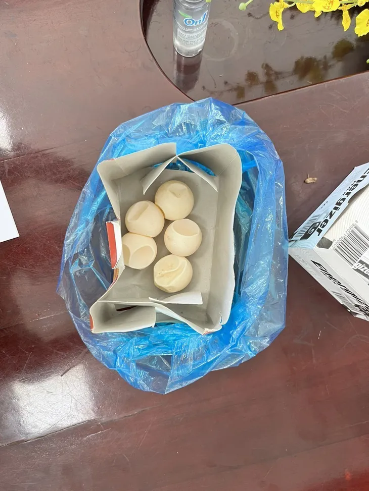 Bắt quả tang du khách nghi vận chuyển trứng động vật hoang dã - Ảnh 2. Bắt quả tang du khách nghi vận chuyển trứng động vật hoang dã - Ảnh 2.