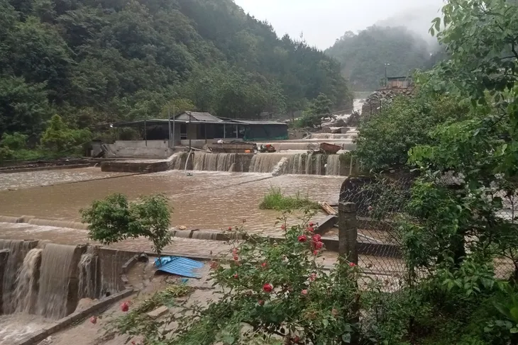 Lũ quét gây thiệt hại cho người nuôi cá tầm ở Lai Châu - Ảnh 1. Lũ quét gây thiệt hại cho người nuôi cá tầm ở Lai Châu - Ảnh 1.
