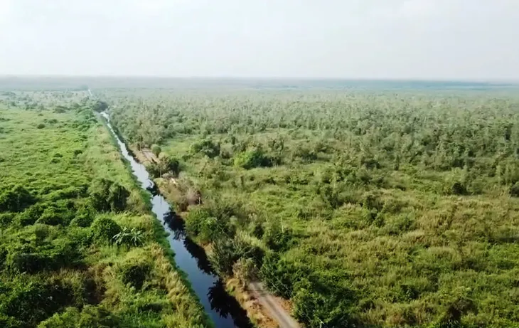 Trải nghiệm hấp dẫn từ du lịch xuyên rừng - Ảnh 2. Trải nghiệm hấp dẫn từ du lịch xuyên rừng - Ảnh 2.