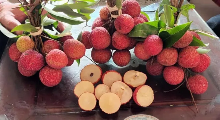 Vải thiều không hạt giá 250.000 đồng/kg - Ảnh 1. Vải thiều không hạt giá 250.000 đồng/kg - Ảnh 1.
