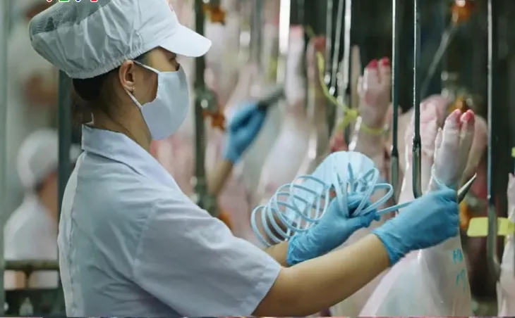Nguy cơ dừng hoạt động cơ sở giết mổ tập trung - Ảnh 3. Nguy cơ dừng hoạt động cơ sở giết mổ tập trung - Ảnh 3.