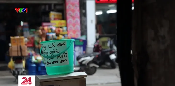 Làm điều ý nghĩa từ đàn cá 7 màu - Ảnh 1. Làm điều ý nghĩa từ đàn cá 7 màu - Ảnh 1.