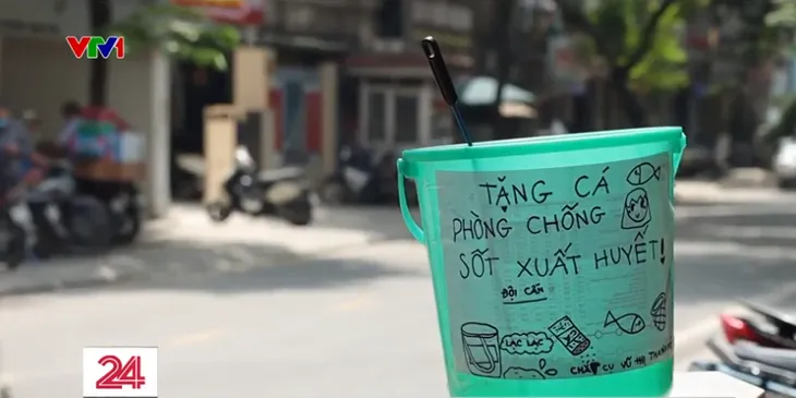 Làm điều ý nghĩa từ đàn cá 7 màu - Ảnh 4. Làm điều ý nghĩa từ đàn cá 7 màu - Ảnh 4.