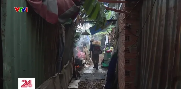 TP Hồ Chí Minh: Giám sát phát hiện nhiều điểm nguy cơ sốt xuất huyết - Ảnh 1. TP Hồ Chí Minh: Giám sát phát hiện nhiều điểm nguy cơ sốt xuất huyết - Ảnh 1.