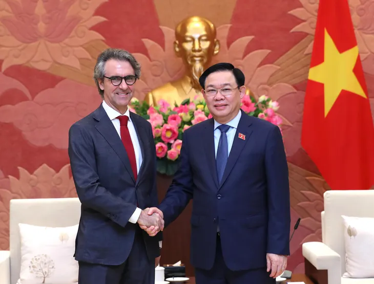 Việt Nam sẵn sàng hỗ trợ tăng cường sự hiện diện của EU tại khu vực - Ảnh 1. Việt Nam sẵn sàng hỗ trợ tăng cường sự hiện diện của EU tại khu vực - Ảnh 1.