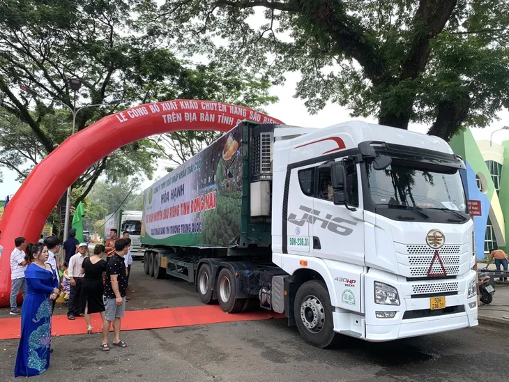 Đồng Nai xuất khẩu chính ngạch 360 tấn sầu riêng đi Trung Quốc - Ảnh 1. Đồng Nai xuất khẩu chính ngạch 360 tấn sầu riêng đi Trung Quốc - Ảnh 1.
