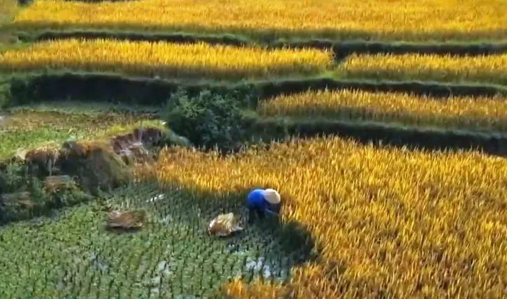 Việt Nam đẹp qua từng khuôn hình của nhiếp ảnh gia người Pháp - Ảnh 7. Việt Nam đẹp qua từng khuôn hình của nhiếp ảnh gia người Pháp - Ảnh 7.