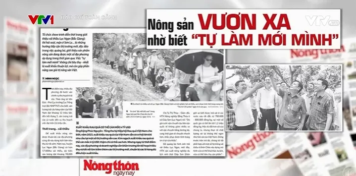 Nhiều tổ chức quốc tế lạc quan về kinh tế Việt Nam - Ảnh 2. Nhiều tổ chức quốc tế lạc quan về kinh tế Việt Nam - Ảnh 2.