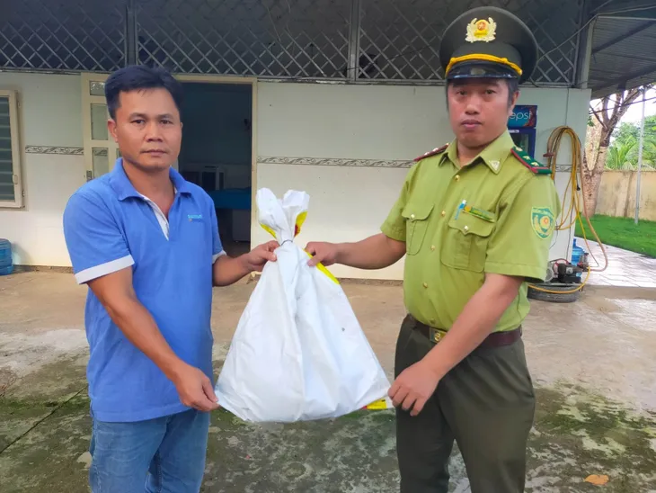 Phát hiện loài Diều hoa Miến Điện nguy cấp, quý hiếm tại Bình Phước - Ảnh 2. Phát hiện loài Diều hoa Miến Điện nguy cấp, quý hiếm tại Bình Phước - Ảnh 2.