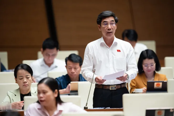Lo ngại người nước ngoài núp bóng, thâu tóm nhiều đất đai ở Việt Nam - Ảnh 2. Lo ngại người nước ngoài núp bóng, thâu tóm nhiều đất đai ở Việt Nam - Ảnh 2.