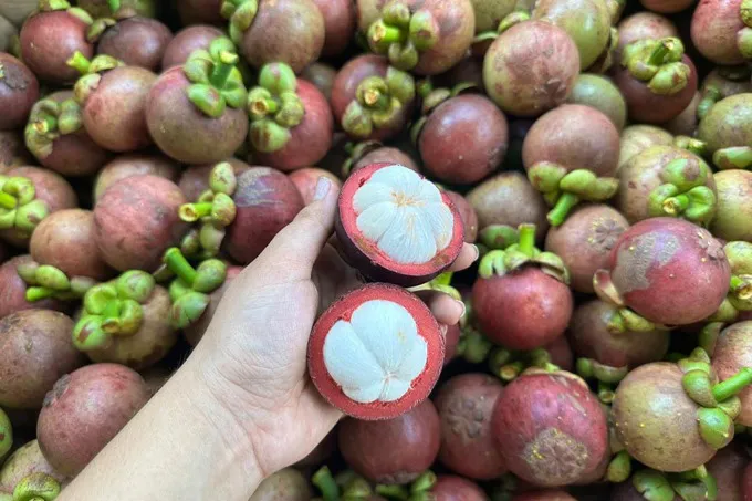 Ăn măng cụt xanh cần loại bỏ 2 bộ phận có thể gây độc - Ảnh 1. Ăn măng cụt xanh cần loại bỏ 2 bộ phận có thể gây độc - Ảnh 1.