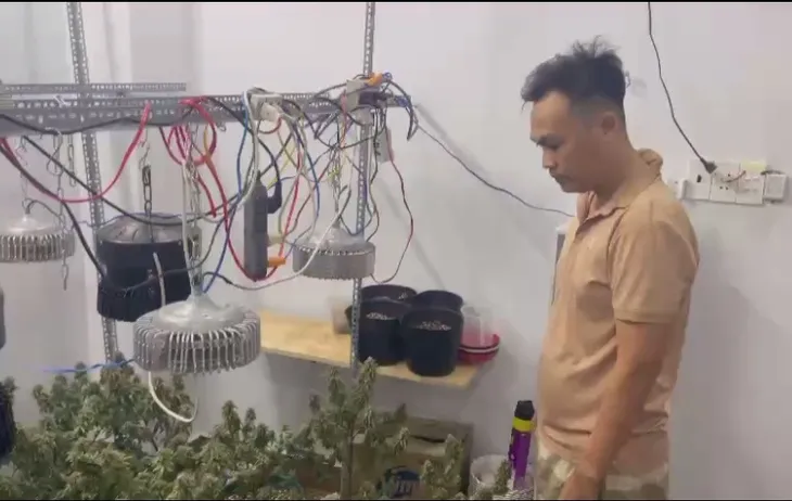 TP Hồ Chí Minh: Phát hiện hai đối tượng tàng trữ vũ khí và trồng cần sa trái phép - Ảnh 2.
