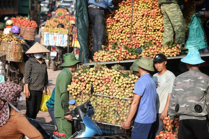 Phu vải kiếm tiền triệu mỗi ngày tại thủ phủ vải thiều - Ảnh 1. Phu vải kiếm tiền triệu mỗi ngày tại thủ phủ vải thiều - Ảnh 1.