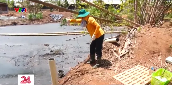 Đồng Nai: Xử phạt nhiều cơ sở chăn nuôi gây ô nhiễm môi trường - Ảnh 5. Đồng Nai: Xử phạt nhiều cơ sở chăn nuôi gây ô nhiễm môi trường - Ảnh 5.