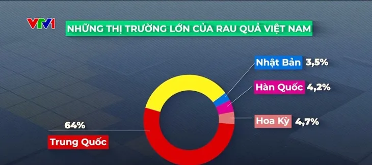 4 tỷ USD xuất khẩu rau quả dự báo trong tầm tay - Ảnh 1. 4 tỷ USD xuất khẩu rau quả dự báo trong tầm tay - Ảnh 1.