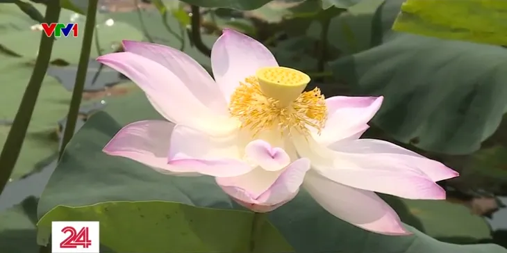 Tạo sự bền vững cho du lịch cộng đồng - Ảnh 2. Tạo sự bền vững cho du lịch cộng đồng - Ảnh 2.