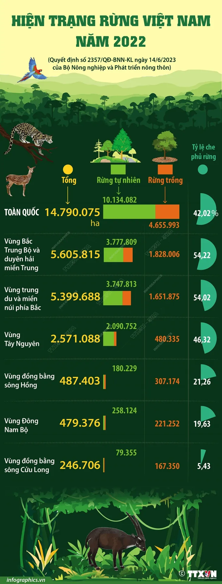 Hiện trạng rừng Việt Nam năm 2022 - Ảnh 1. Hiện trạng rừng Việt Nam năm 2022 - Ảnh 1.