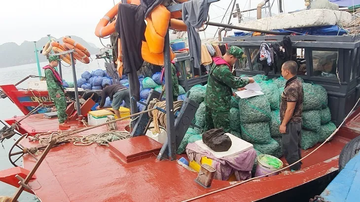 Bắt giữ 3 tàu khai thác thủy sản trái phép - Ảnh 1. Bắt giữ 3 tàu khai thác thủy sản trái phép - Ảnh 1.
