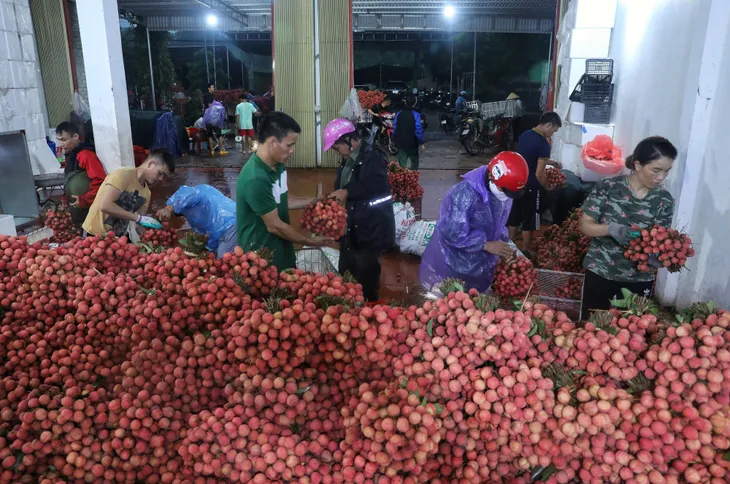 56 tấn vải thiều xuất khẩu chính ngạch bằng đường sắt - Ảnh 3. 56 tấn vải thiều xuất khẩu chính ngạch bằng đường sắt - Ảnh 3.