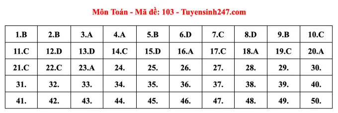 Gợi ý đáp án đề thi Toán tốt nghiệp THPT 2023 - Ảnh 15. Gợi ý đáp án đề thi Toán tốt nghiệp THPT 2023 - Ảnh 15.