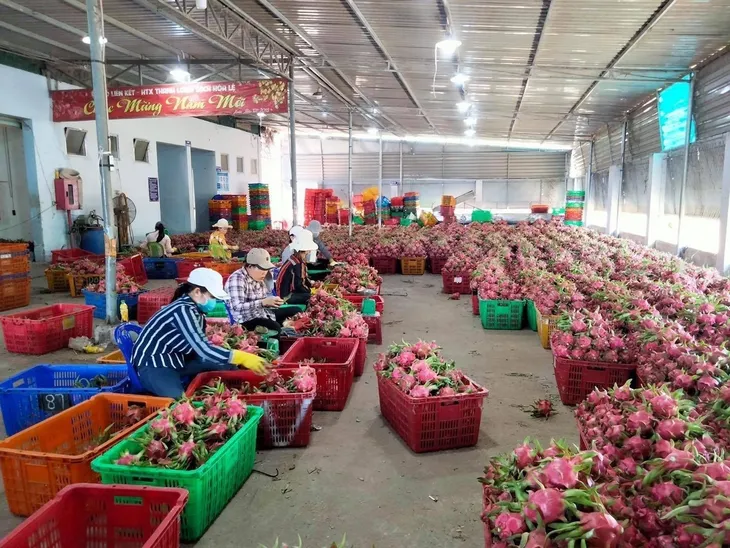 Nông sản Việt đắt khách tại châu Á - Ảnh 1. Nông sản Việt đắt khách tại châu Á - Ảnh 1.