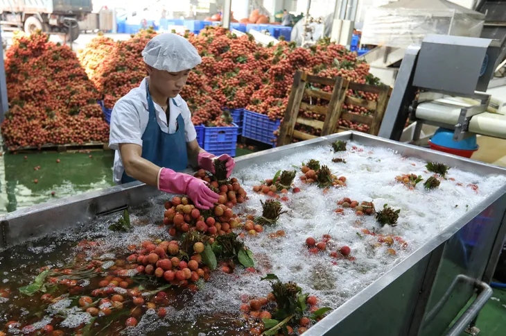 Xuất khẩu nông, lâm, thủy sản 6 tháng mang về gần 25 tỷ USD - Ảnh 2. Xuất khẩu nông, lâm, thủy sản 6 tháng mang về gần 25 tỷ USD - Ảnh 2.