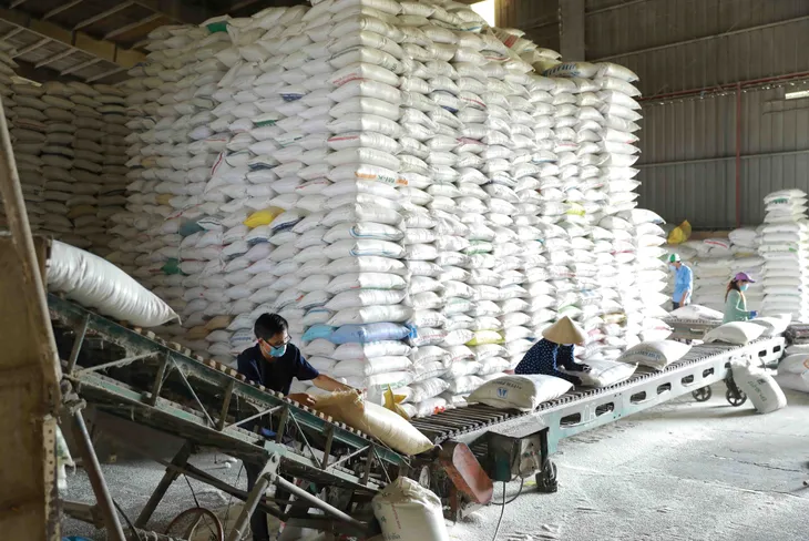 Xuất khẩu nông, lâm, thủy sản 6 tháng mang về gần 25 tỷ USD - Ảnh 1. Xuất khẩu nông, lâm, thủy sản 6 tháng mang về gần 25 tỷ USD - Ảnh 1.
