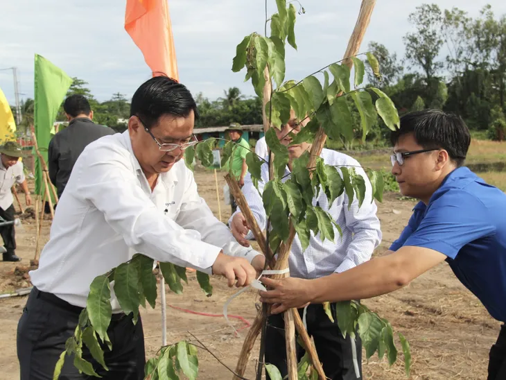 Phát động Tết trồng cây nhân Ngày Môi trường thế giới - Ảnh 1. Phát động Tết trồng cây nhân Ngày Môi trường thế giới - Ảnh 1.