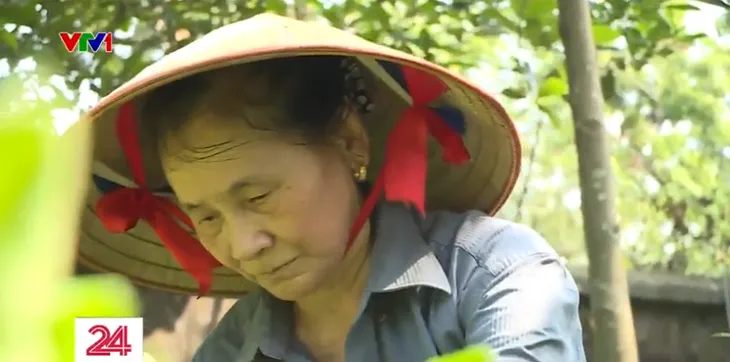 Khi người già cô đơn - Ảnh 3.