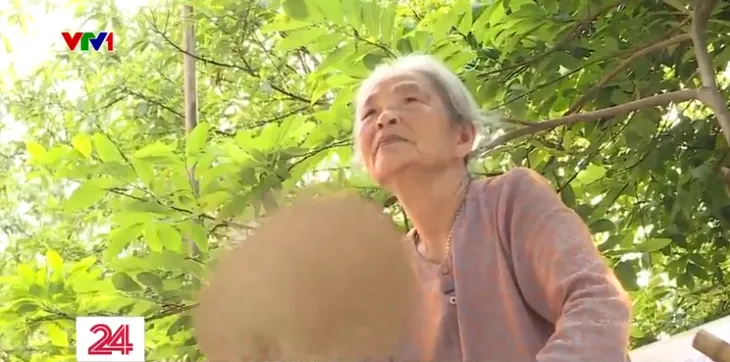 Khi người già cô đơn - Ảnh 4.