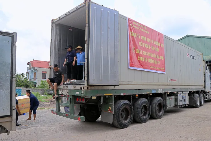 Hòa Bình tiếp tục xuất khẩu 18 tấn mía tươi sang Hoa Kỳ - Ảnh 2. Hòa Bình tiếp tục xuất khẩu 18 tấn mía tươi sang Hoa Kỳ - Ảnh 2.