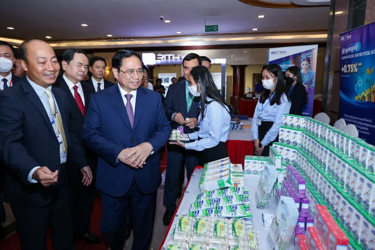 Ngành sữa tiến ra sân chơi thế giới, tận dụng tối đa cơ hội và lợi thế - Ảnh 2.